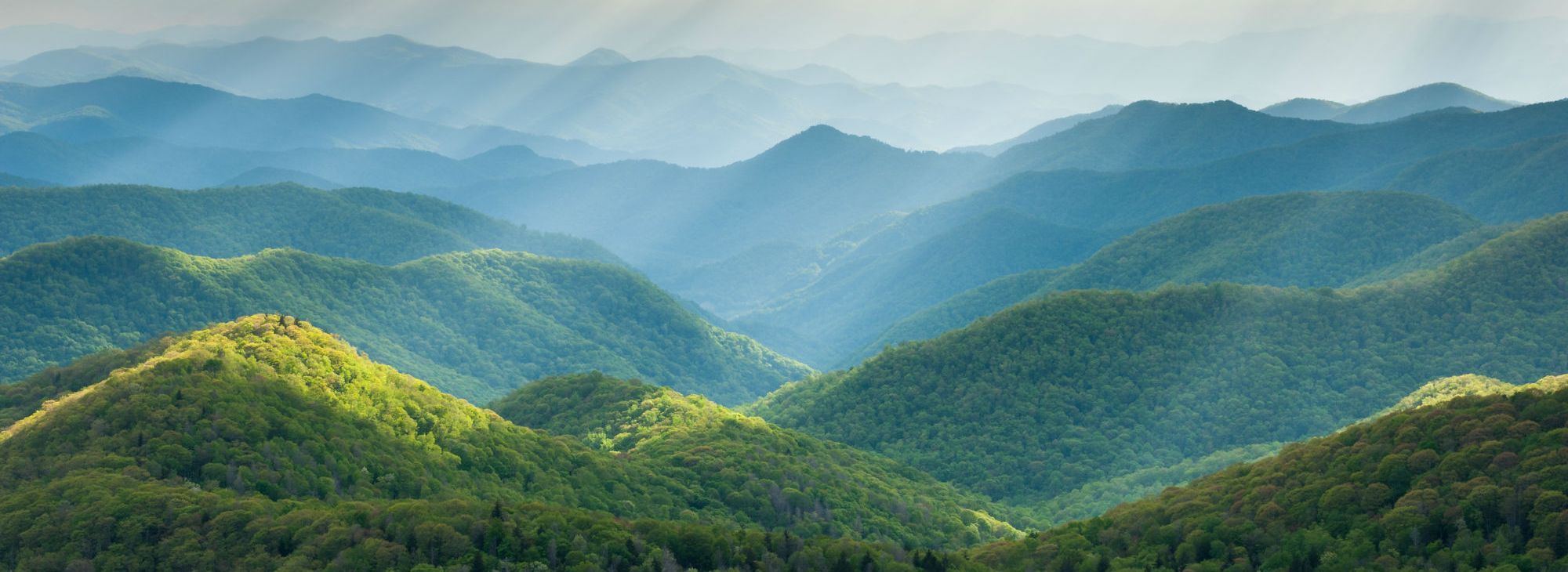 Endodontics Charlotte NC, Endodontist