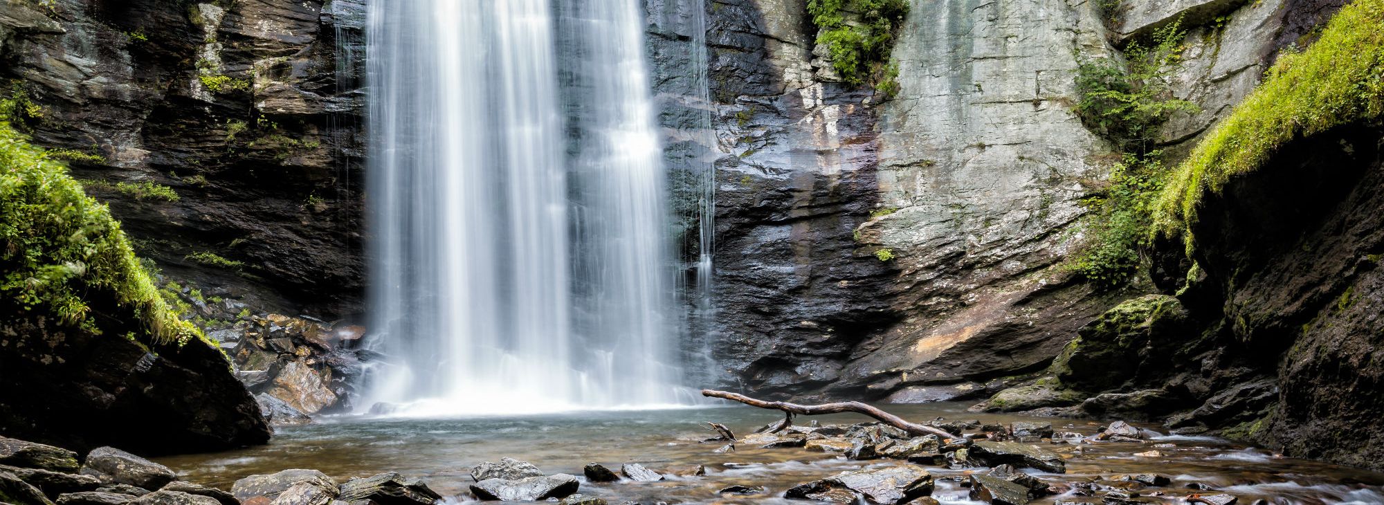 Endodontics Charlotte NC, Endodontist